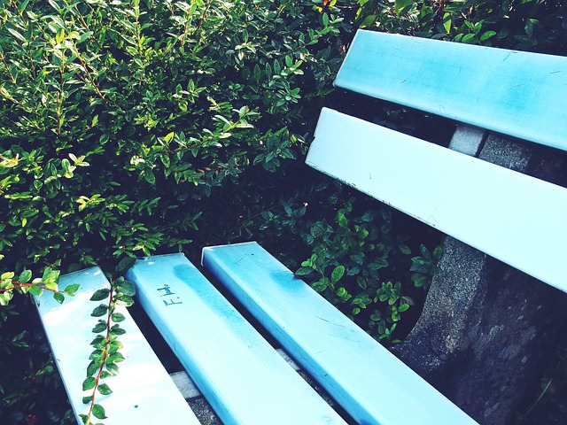 利用个人能 利用个人能