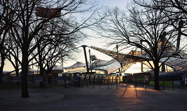 未来的季后 未来的季后