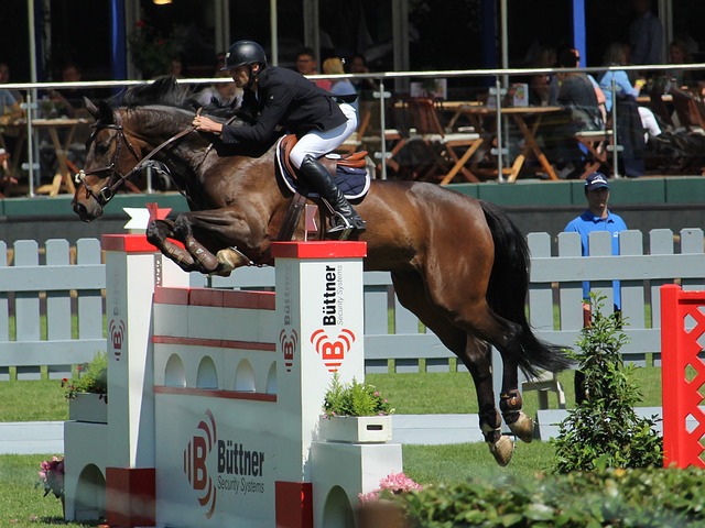 探性进攻 探性进攻