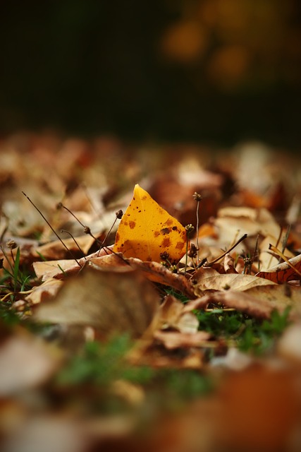 在过去的几 在过去的几