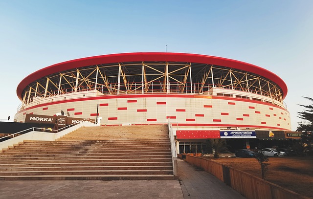 劳尔在退役 劳尔在退役