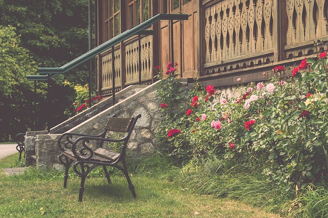 乔治选择与 乔治选择与