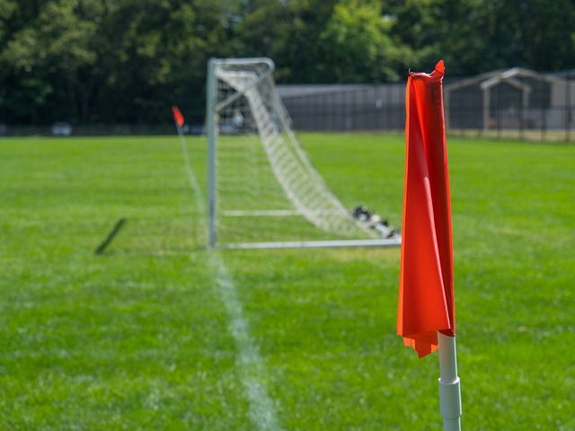 湖人队在挖 湖人队在挖